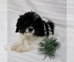 Small #11 Breeder Profile image