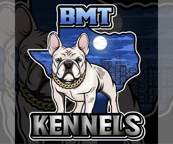Medium Photo #1  Breeder Profile in FORT WORTH, TX, USA
