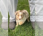 Small #5 Breeder Profile image