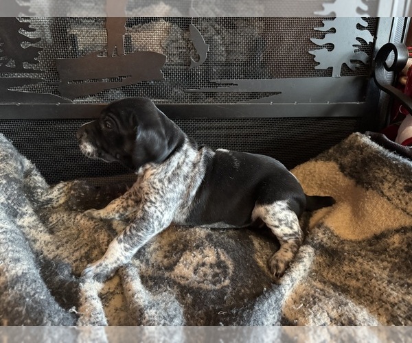 Medium Photo #20  Breeder Profile in BOONVILLE, IN, USA