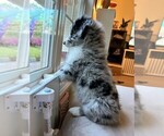 Small #39 Breeder Profile image