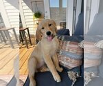 Small #16 Breeder Profile image
