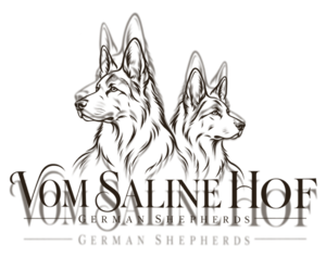 German Shepherd Dog Dog Breeder near MARSHALL, MO, USA