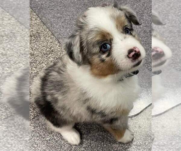 Medium Photo #13  Breeder Profile in SEVERY, KS, USA