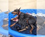 Small #5 Breeder Profile image