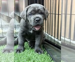 Small #7 Breeder Profile image