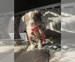 Small #35 Breeder Profile image