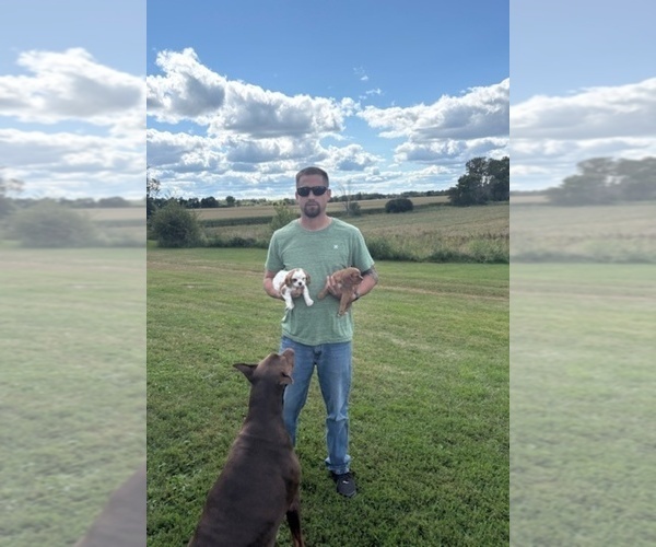 Medium Photo #1  Breeder Profile in WATERTOWN, WI, USA