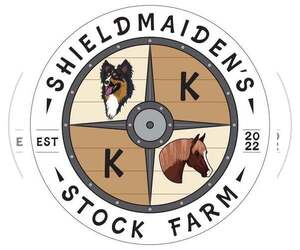 Miniature American Shepherd Dog Breeder near SARASOTA, FL, USA