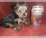 Small #183 Breeder Profile image