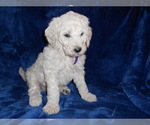 Small #4 Breeder Profile image