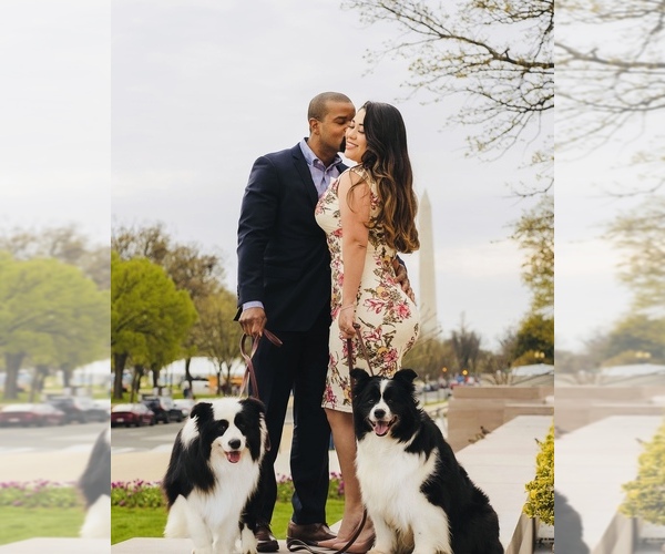 Medium Photo #26  Breeder Profile in BRYANTOWN, MD, USA