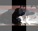 Small #2 Breeder Profile image