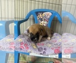 Small #6 Breeder Profile image
