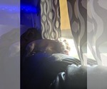 Small #1 Breeder Profile image