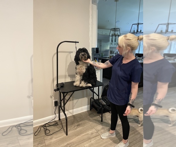 Medium Photo #37  Breeder Profile in BAYTOWN, TX, USA