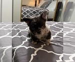 Small #22 Breeder Profile image