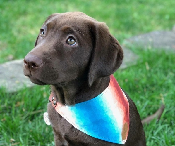 Medium Photo #1  Breeder Profile in SPOKANE, WA, USA