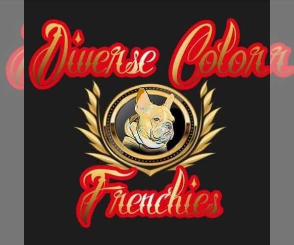 Medium Photo #1  Breeder Profile in LONGS, SC, USA