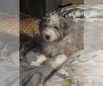 Small #5 Breeder Profile image