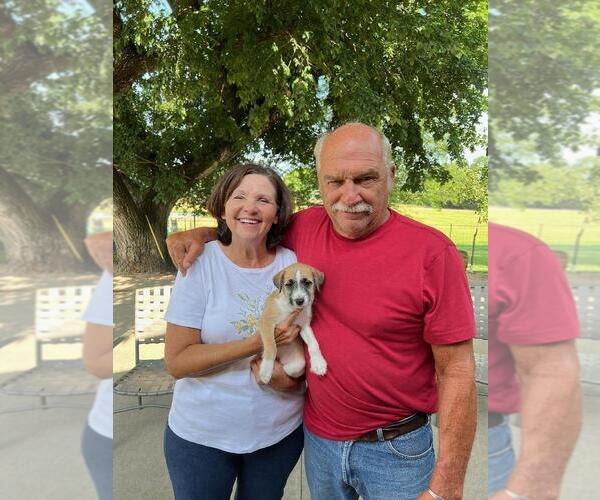 Medium Photo #16  Breeder Profile in ENID, OK, USA
