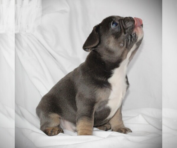 Medium Photo #8  Breeder Profile in HASTINGS, MN, USA