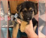 Small #10 Breeder Profile image