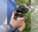 Small #7 Breeder Profile image