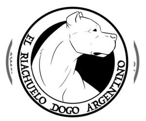 Dogo Argentino Dog Breeder near HAINES CITY, FL, USA