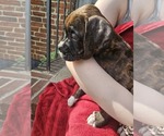Small #2 Breeder Profile image