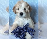 Small #7 Breeder Profile image
