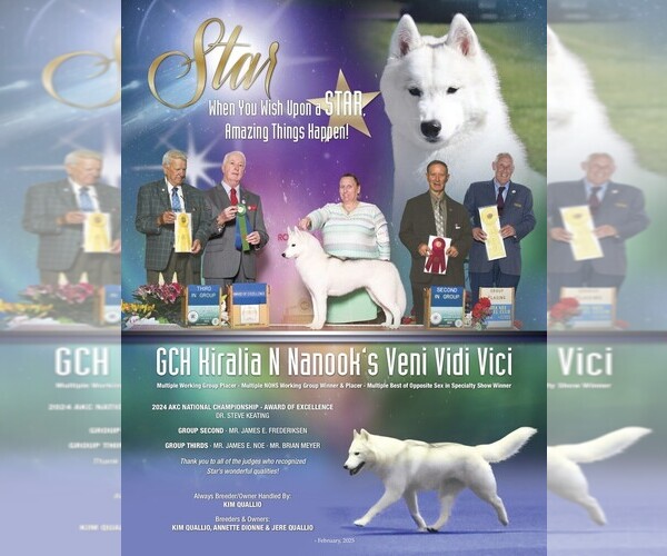 Medium Photo #1  Breeder Profile in READING, PA, USA