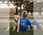 Small #22 Breeder Profile image