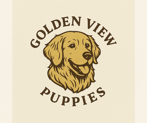 Golden Retriever Dog Breeder near DAVENPORT, FL, USA