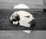 Small #5 Breeder Profile image