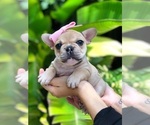 Small #9 Breeder Profile image
