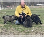 Small #68 Breeder Profile image