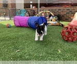 Small #14 Breeder Profile image