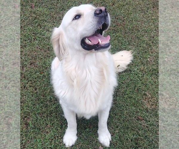 Medium Photo #1  Breeder Profile in CONOVER, NC, USA