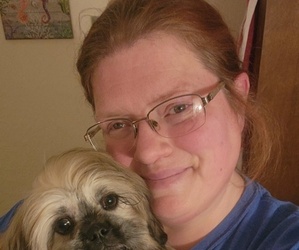 Shih Tzu Dog Breeder near RICHMOND, MO, USA