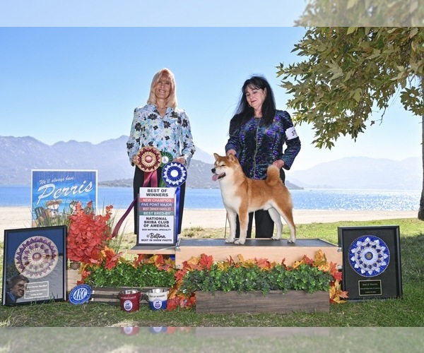 Medium Photo #1  Breeder Profile in THOMASTON, GA, USA