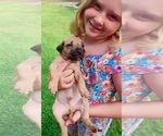 Small #7 Breeder Profile image