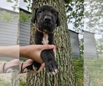 Small #6 Breeder Profile image