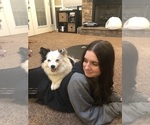Small #3 Breeder Profile image