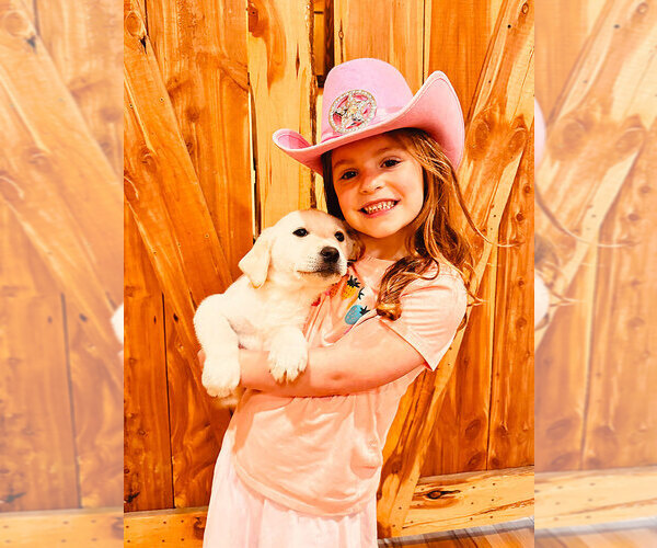 Medium Photo #1  Breeder Profile in CHARLOTTE, NC, USA