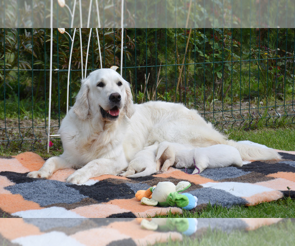 Medium Photo #13  Breeder Profile in ELLENSBURG, WA, USA