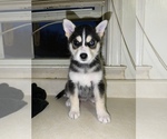 Small breeder photo