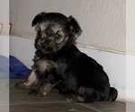 Small #9 Breeder Profile image