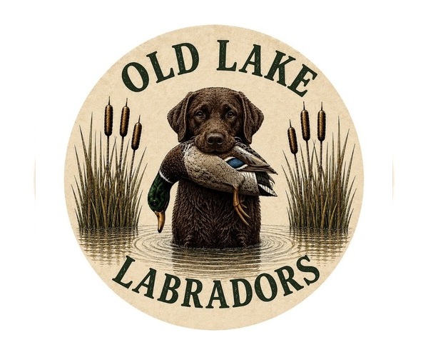Medium Photo #1  Breeder Profile in GASTON, NC, USA