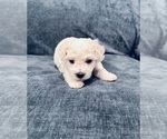 Small #4 Breeder Profile image